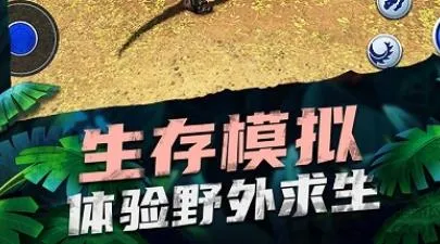 ������԰����2025�ٷ����°汾