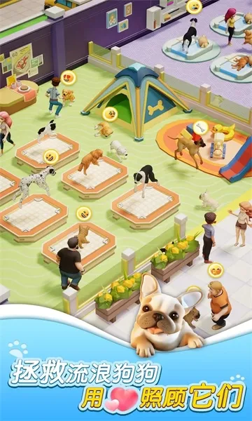 Dog Shelter2025�ٷ����°汾