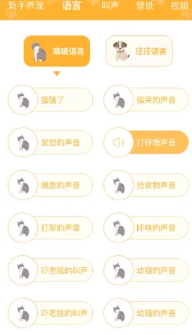 ����2025���°汾