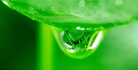 ���ƻ��������ֻ���