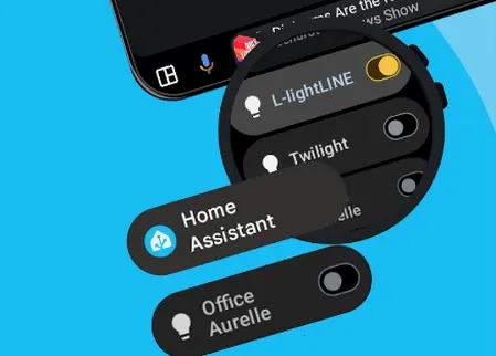 Home Assistant2026���°汾