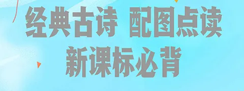 ��ƴ����׿���ֻ���