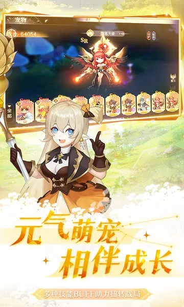 ��ɫ��˵
