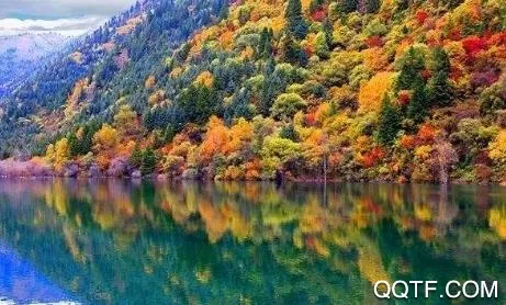 ������ˮ2026�ٷ����°汾