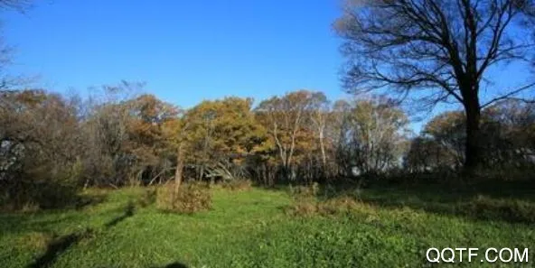 ������ý2026�ٷ����°汾