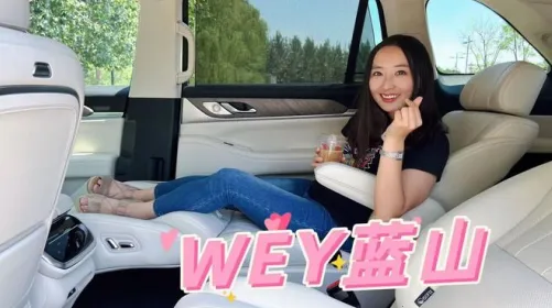 wey��������2026�ٷ����°汾