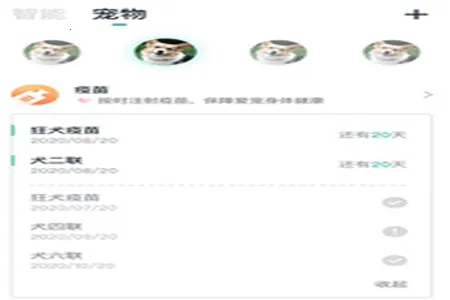 �γ�����