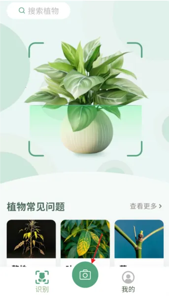 花草志 花草志