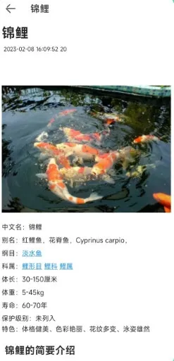 ����ٿ�