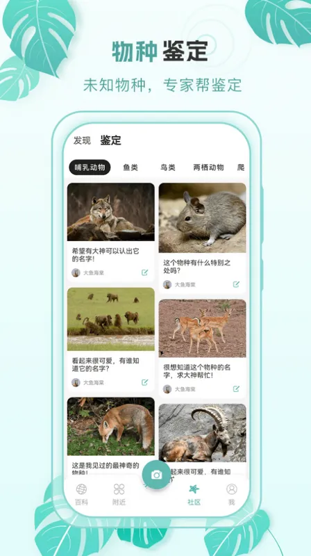 �ٿ�����2026���°汾