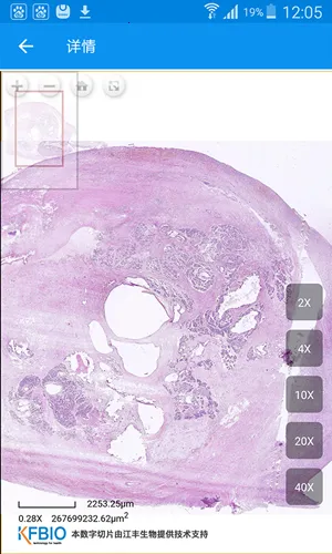 �ͻ���ҽ�����ֻ���