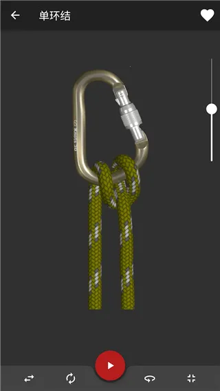 Knots 3D2026�ٷ����°汾