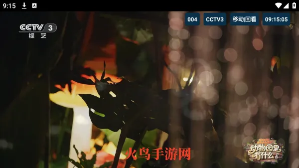 èTV�����2026�ٷ����°汾
