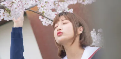 ������������ֻ���