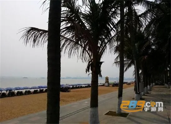 椰省事2026最新版本 椰省事2026最新版本