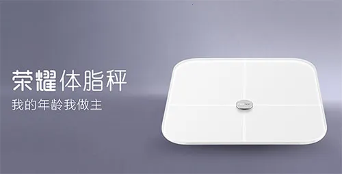 ��ҫ��֬��2026���°汾