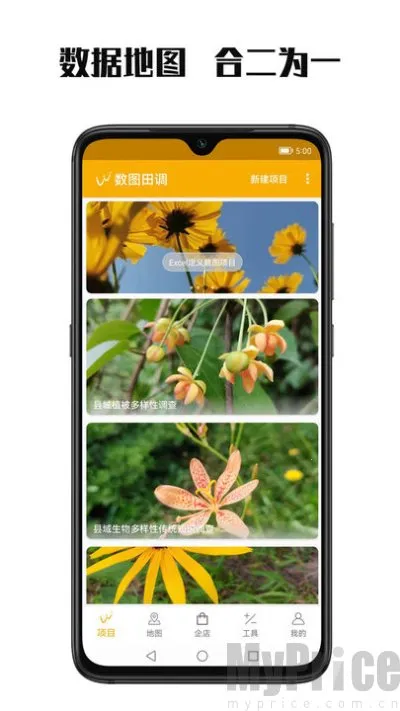 数图田调2026最新版本 数图田调2026最新版本