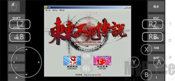 ����������˵��������