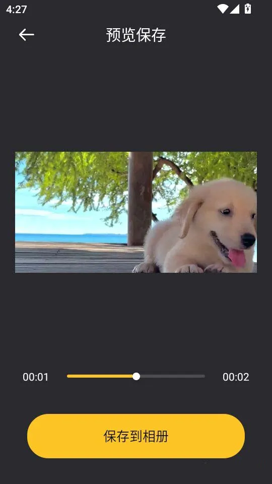 音范丝4k(高清影音播放)