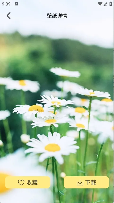 �Ⱦޱ�ֽ2026�ٷ�����