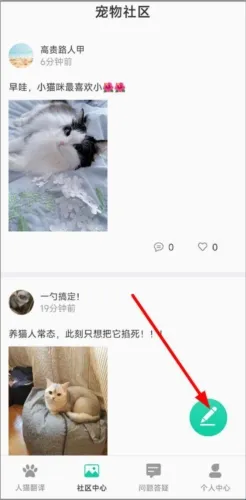 Cat Translation�����ֻ���