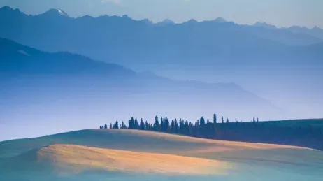 新服办苹果app下载安装 新服办苹果app下载安装