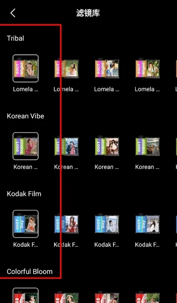 ����������(������������)