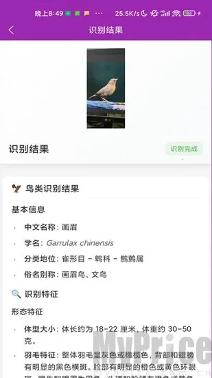 识鸟2026官方最新版本 识鸟2026官方最新版本