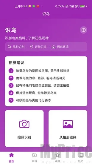 识鸟2026官方最新版本 识鸟2026官方最新版本