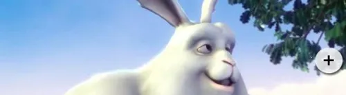 mx�������ƽ��޹��רҵ��