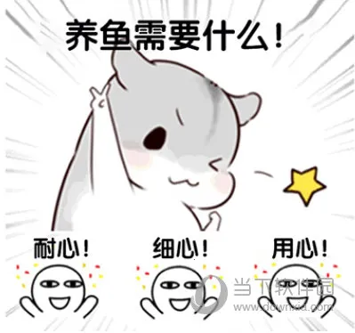 ���������ƽ�����޽����ʯ