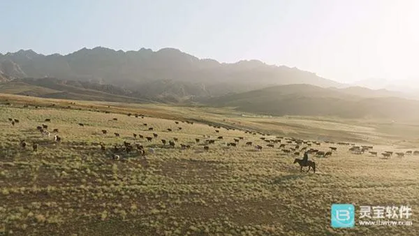 ȫ�ۺ�TV2026�ٷ����°汾