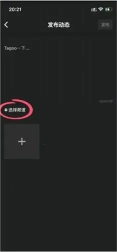 Tagoo(�����罻����)