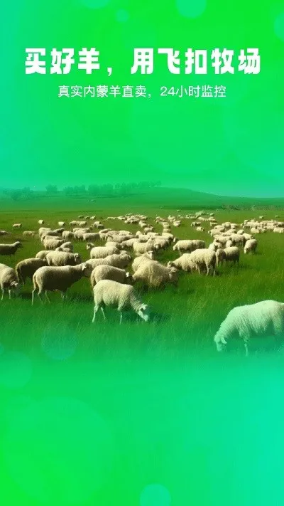 飞扣(宠物养殖管理) 飞扣(宠物养殖管理)