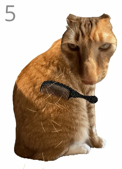 ��è��ë(è��ë������Ϸ)