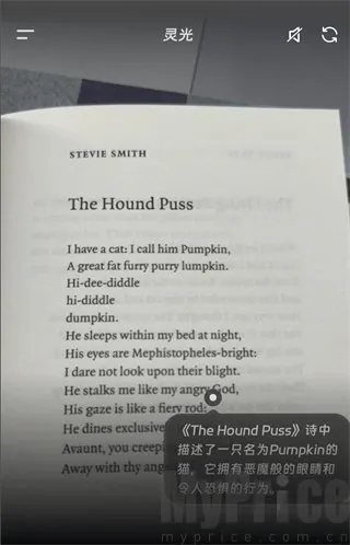 ���AI��������