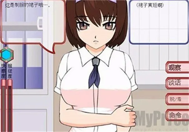 ͵����Ů�Ľ�������(͵����Ϊ������Ϸ)