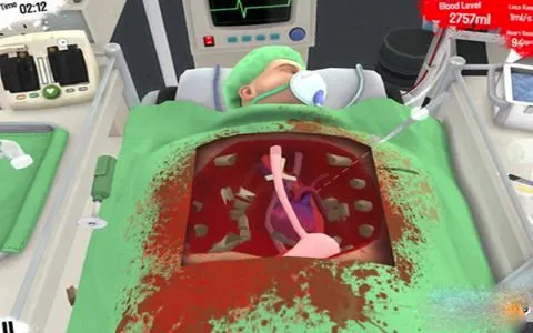 surgeonsimulator(���ҽ����Ϸ)